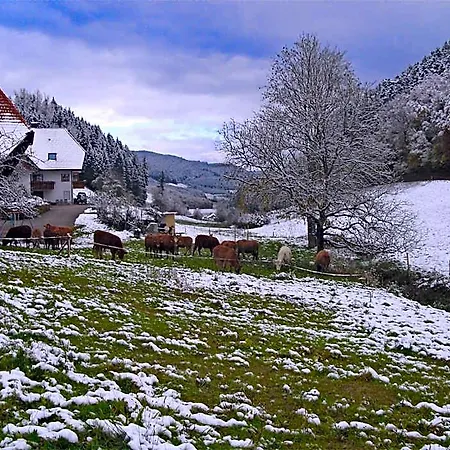 Ruhiges Bauernhaus, 4* Hofstetten (Baden-Wurttemberg)