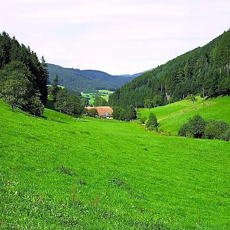 Ruhiges Bauernhaus, Hotel Hofstetten (Baden-Wurttemberg)
